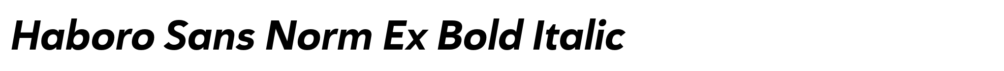 Haboro Sans Norm Ex Bold Italic image